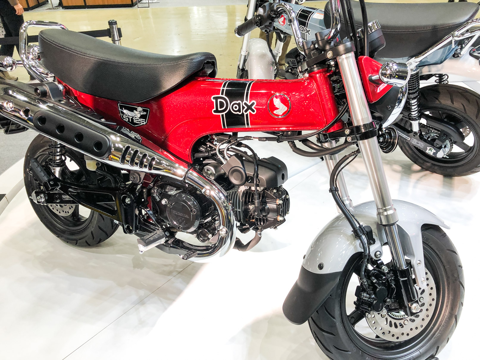 現車確認！】ホンダ ダックス125(HONDA Dax125)にまたがってきた 